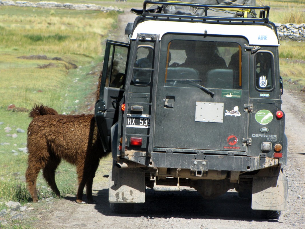 Tiraxi Adventure